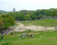 大高城址公園の画像