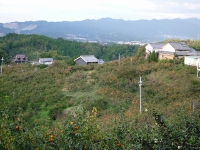 栃原風景