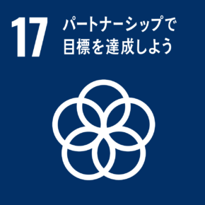 SDGs目標：17パートナーシップで目標を達成しよう