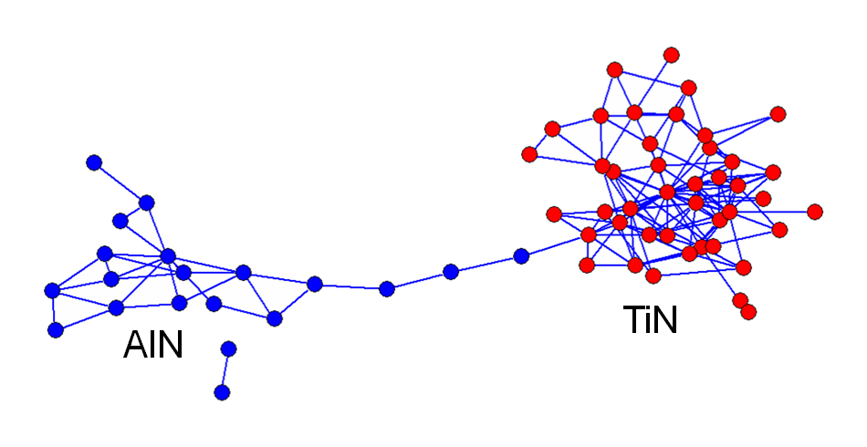 引用ネットワークを可視化すると　窒化アルミ(AIN)と窒化チタン(TiN)の結晶の配向性の研究
