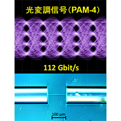 光変調特性（PAM-4）と自己形成導波路接続