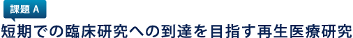 短期での臨床研究への到達を目指す再生医療研究