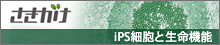 さきがけ「iPS細胞と生命機能」