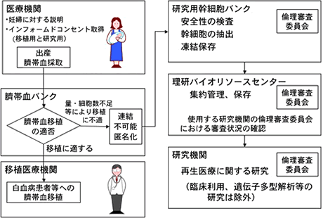 研究用幹細胞バンク事業の流れ