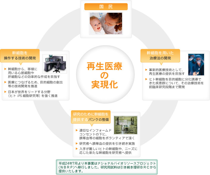 再生医療の実現化