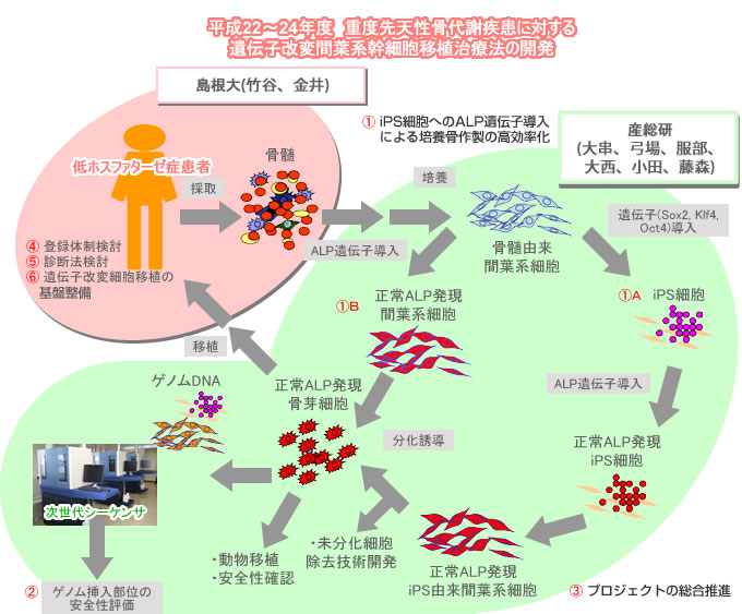 再生医療の実現化プロジェクト 個別事業紹介