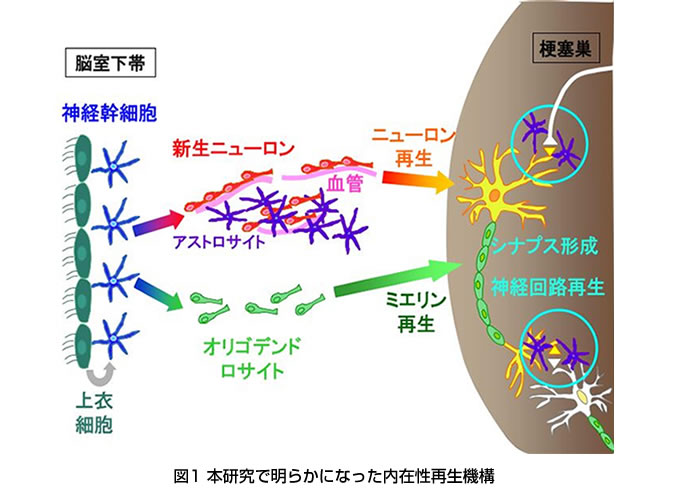 実施体制