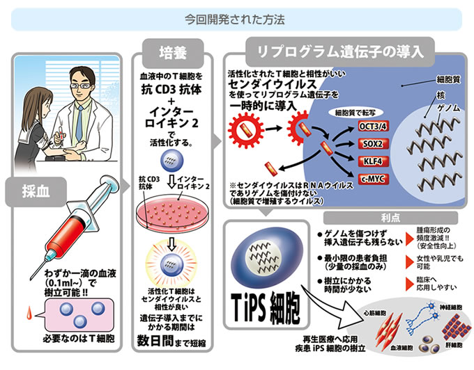 実施体制説明図