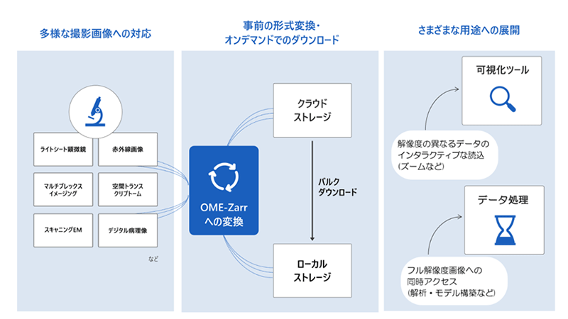 OME-Zarr