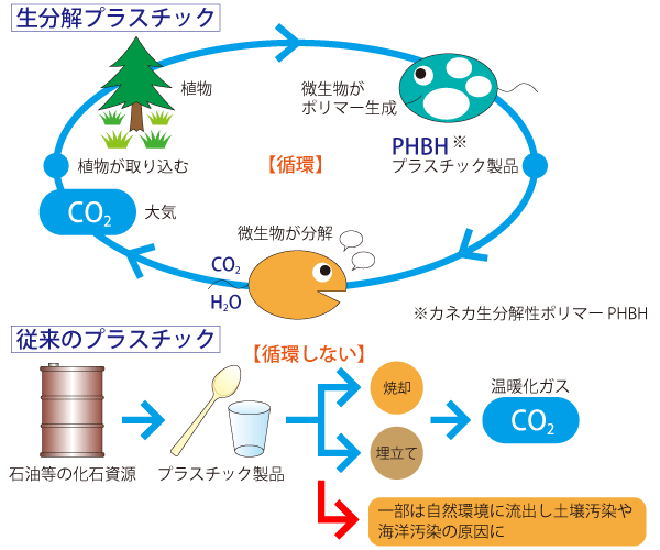 図1