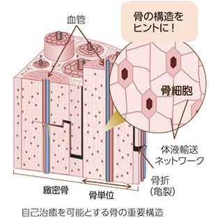 図2