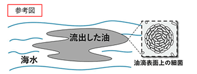 図1