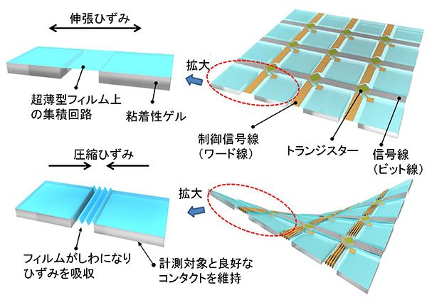 体に貼り付けられる生体計測用シート型電子回路