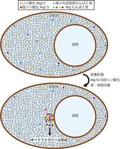 図1