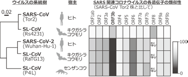 図1