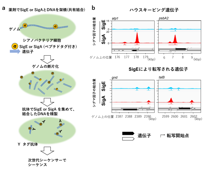 図3