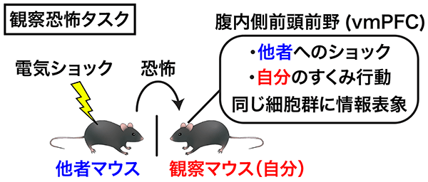図2