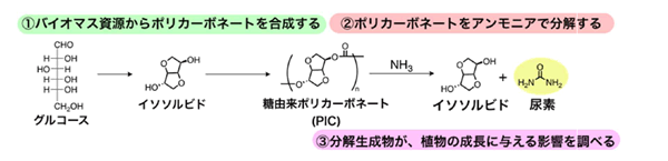 図2