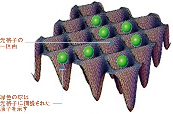 模式図