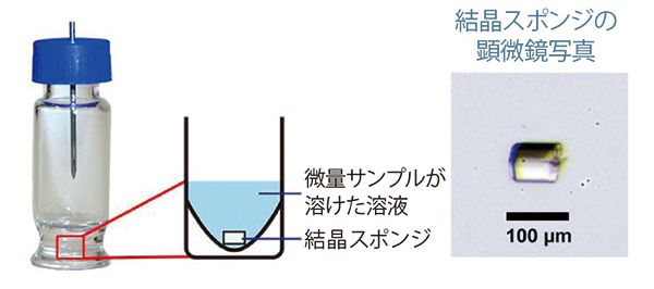 図：結晶スポンジ法の簡略図