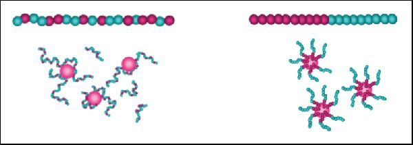 図2：分散イメージ