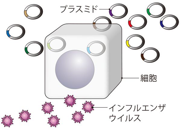 (概念図)
