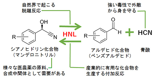 図1