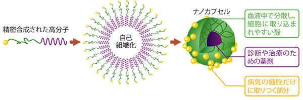 図:立体パズルのように高分子のピースが集まってカプセルを形成