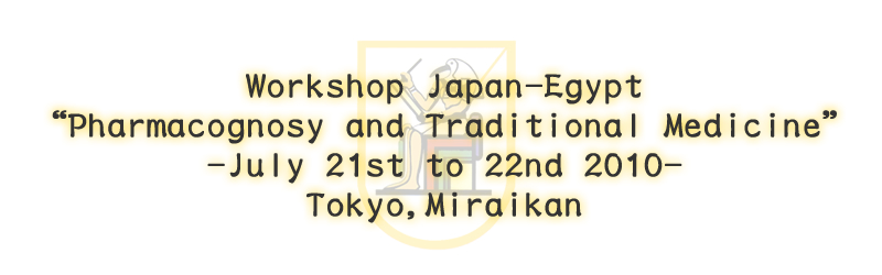 Workshop Japan-Egypt 'Pharmacognosy and Traditional Medicine'