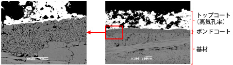 図：耐環境コーティング断面