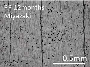 図：高性能分子材料の長期時間依存性予測技術の開発