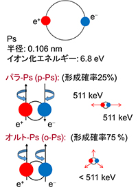 図：陽電子消滅を用いたCFRP用樹脂の自由体積評価