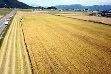 ICTで大規模稲作経営を効率化─有限会社フクハラファームに関するイメージ