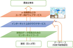 水稲栽培の管理用アプリで費用対効果の高いスマート農業の実現を目指すに関するイメージ