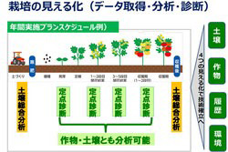 経験と勘に頼る農業から誰もが使える農業技術の確立を目指すに関するイメージ