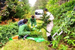 獣医学×林業による未利用地域資源の活用に関するイメージ