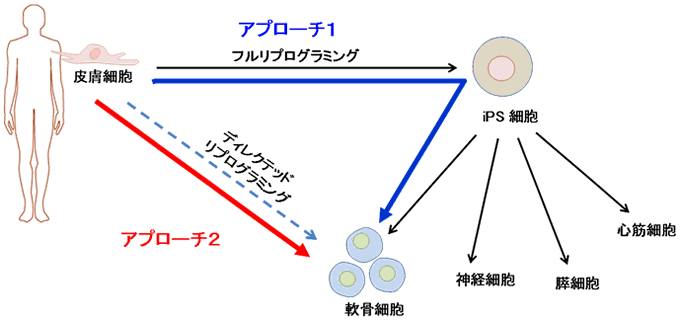 図１