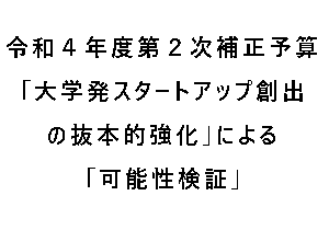 【予告】「可能性検証」令和5年度公募について