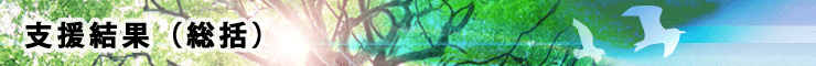 支援結果(総括)